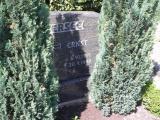image of grave number 458476